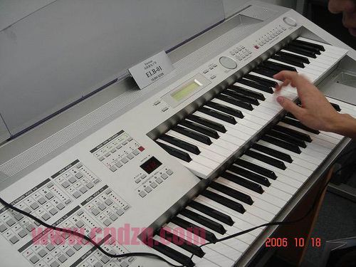 2006上海国际乐器博览会上的双排键产品!